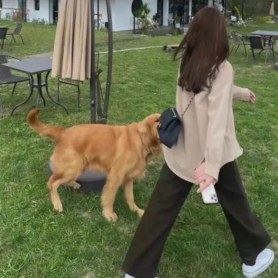 不夜城擒谍