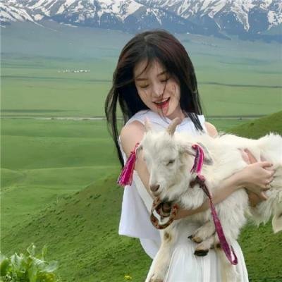 我老婆是老大2